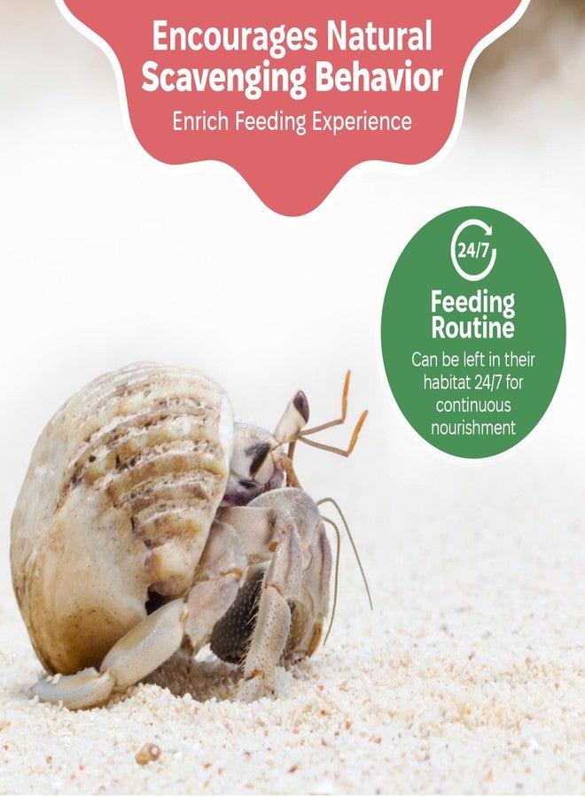 Snout and Shell Hermit Crab Greensand Supplement - Calcium and Trace Mineral Molting Support - Non-GMO, Auto Feeder Friendly, Inert Powder Formula - Natural, USA-Sourced Nutrients - Compatible with All Crabitats - Image 3